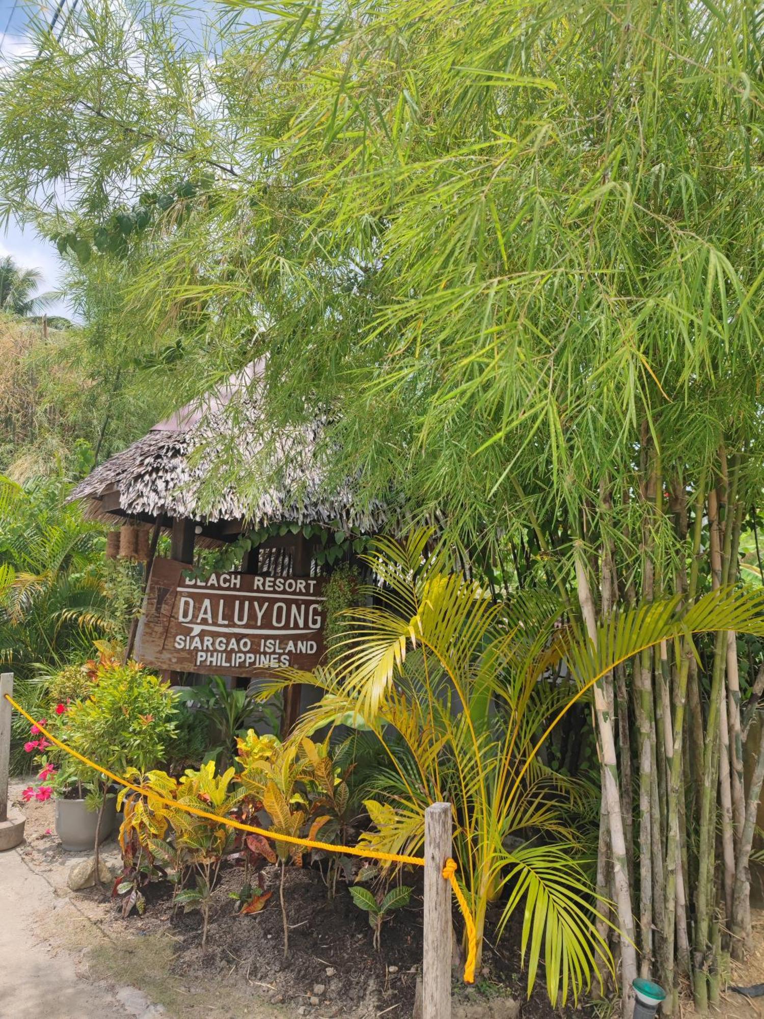 Daluyong Beach Resort General Luna  Exterior photo
